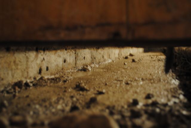 Trench Under the Wall