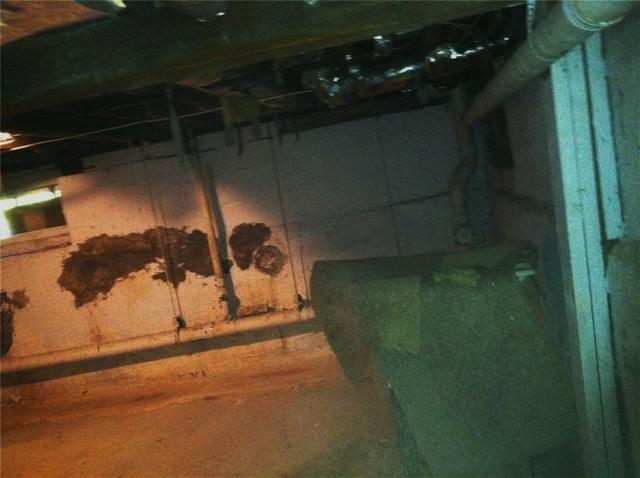 Damp Basement