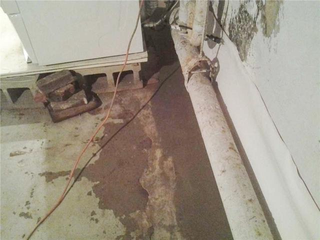 Every Type of Basement
