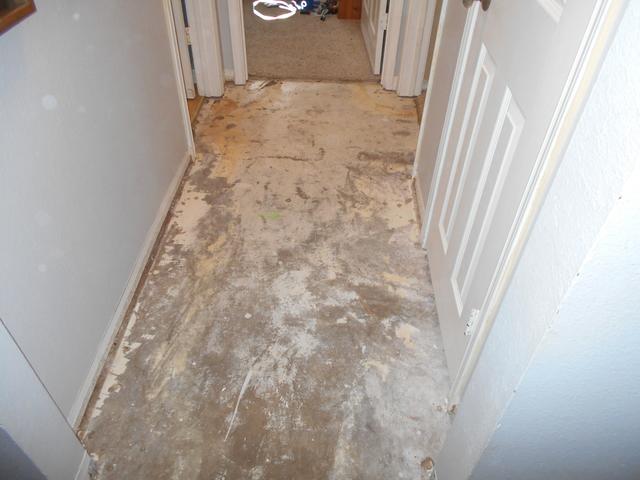 Pipe leak - Water Damage Repair- Austin, TX 78704 Laminate Flooring (UNSALVAGEABLE)