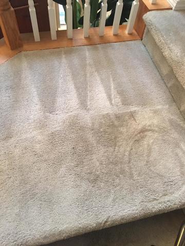 Carpet Steam Clean- Austin, TX 78703