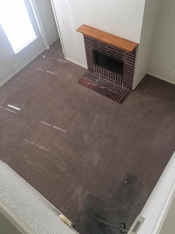 High Traffic Area/ Carpet Steam Clean- Austin, TX 78703
