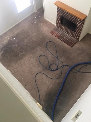 High Traffic Area/ Carpet Steam Clean- Austin, TX 78703