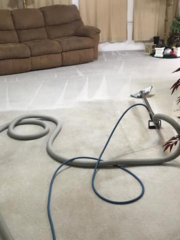 Carpet Steam Cleaning- Austin, TX 78758