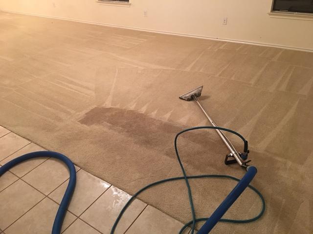 Getting ready for move out! Carpet Steam Cleaning- Austin, TX 78702