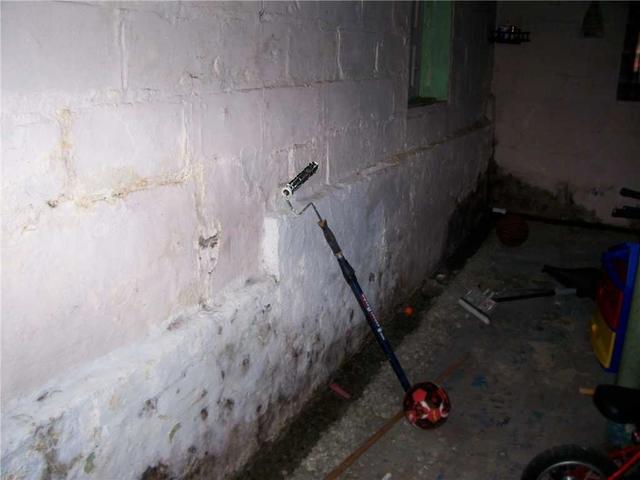 Dampness Breeds Bacteria