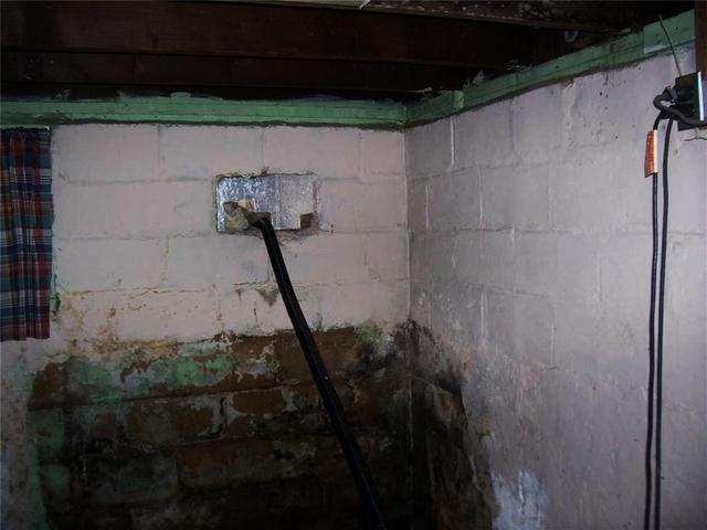 Damp & Musty Basements