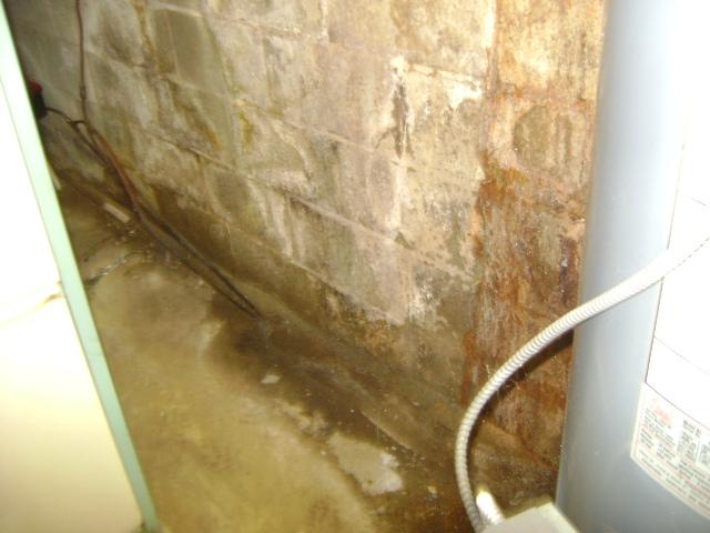 Wet Areas in Greens Farms, CT