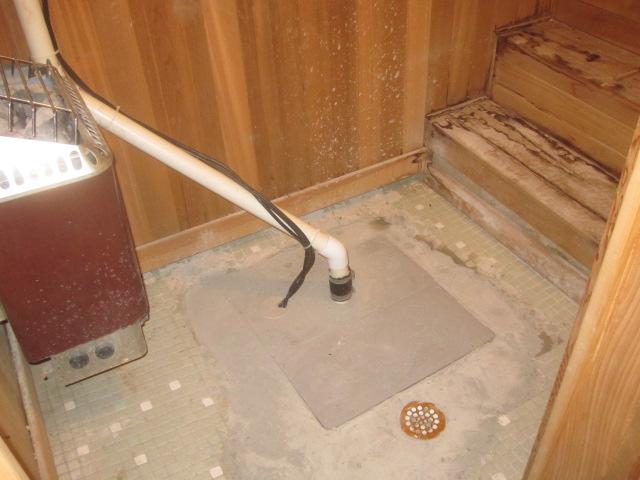 Old Sump Pump in Redding Center, CT