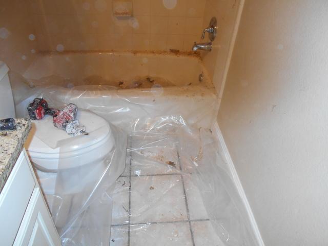 Cracked Pipe leak - Water Damage Restoration Austin, TX