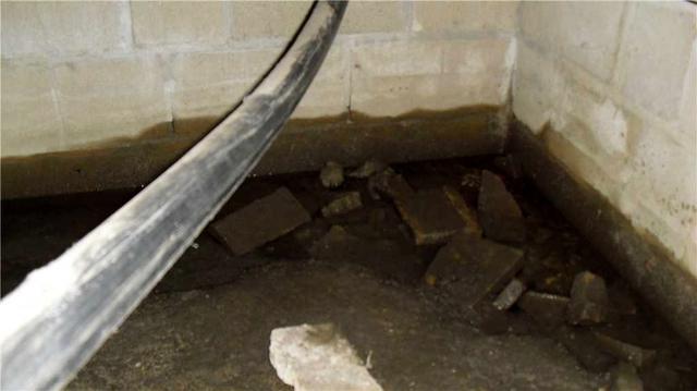 Three Things Mold Needs