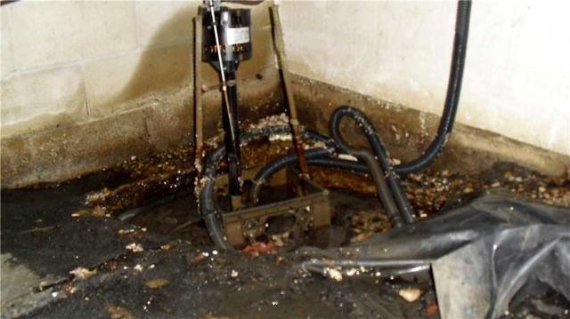 What's Growing Here?