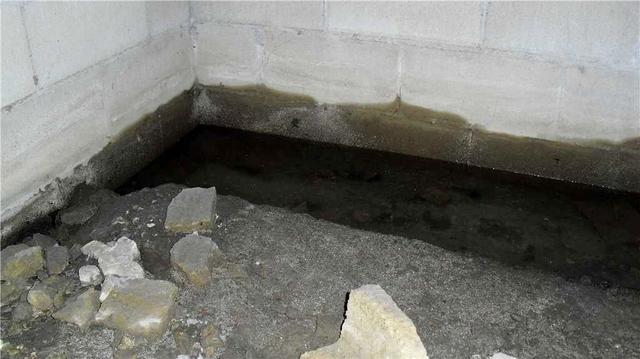 Another Wet Corner in the Crawl Space