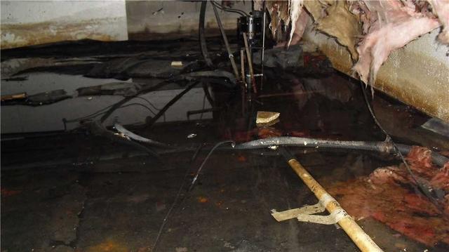Large Puddles in Crawl Space