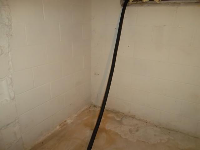 Wet Basement in East Windsor, CT