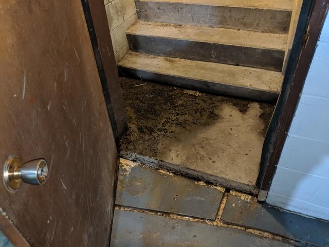 The entryway of the basement was one of the sports where water seepage was occurring, flooding the bottom of this client's stairs.