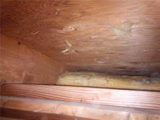 Old Insulation