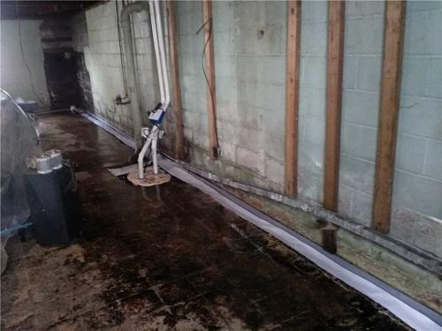 TripleSafe Sump Pump