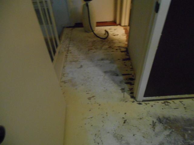 Water Damage Restoration Round Rock, Texas 78665