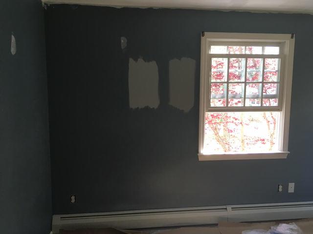 Samples and Trim Painting