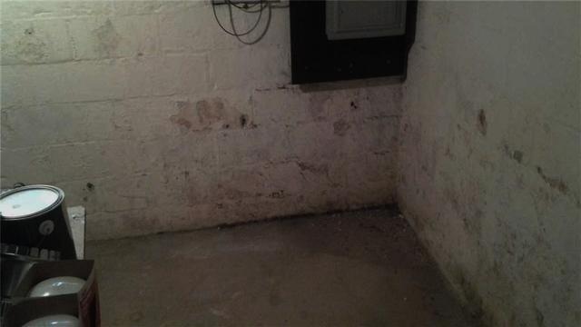 Could it be Mold?