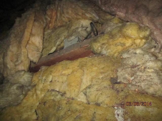 Old Insulation