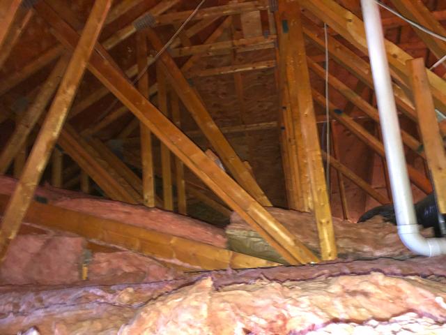 Cowleys Pest Services Attic Insulation Photo Album