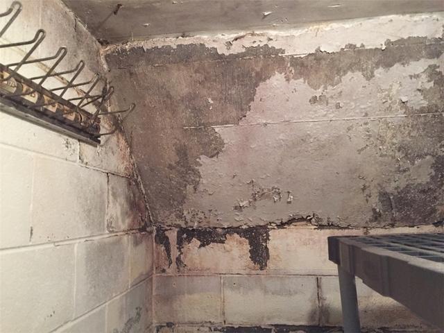 Basement Water Damage