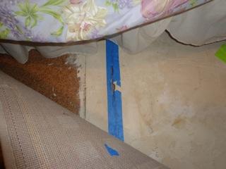 Crack in slab