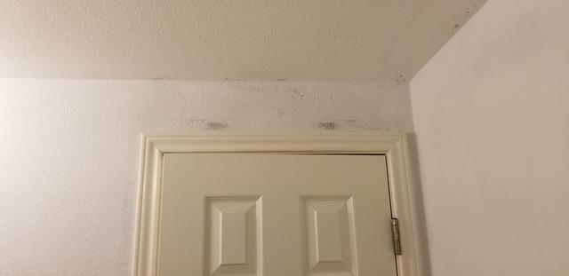 Mold Damage Restoration Round Rock, Tx