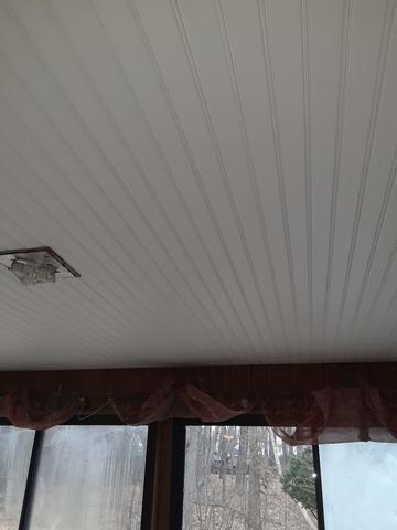 Ceiling Replacement in Wyoming, MI
