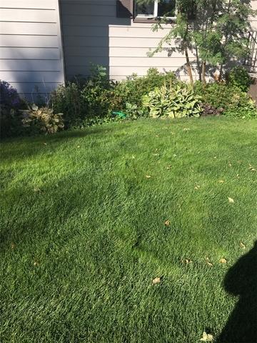 Outside looking at the basement wall