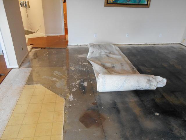 Water Damage Restoration Round Rock, Texas 78664