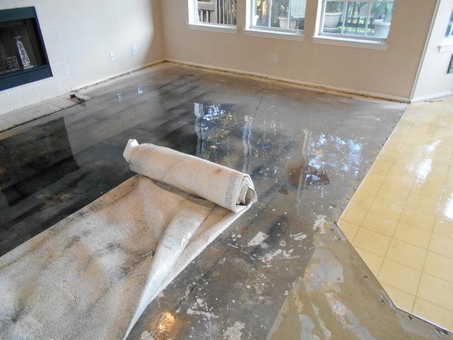 Water Damage Restoration Round Rock, Texas 78664