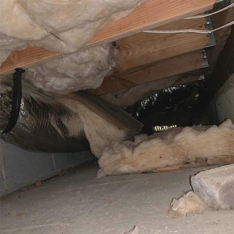 Crawl Space Before