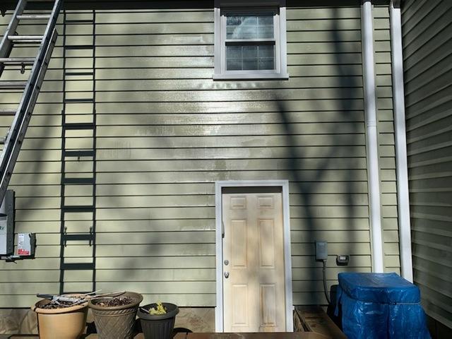 The pollen build up is obvious on the door and siding before pressure washing began.