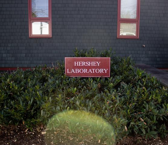 Cold Spring Harbor Lab