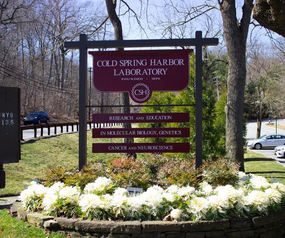 Cold Spring Harbor Lab