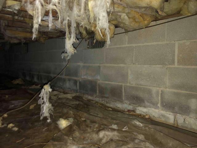 Water Infiltration in Crawl Space