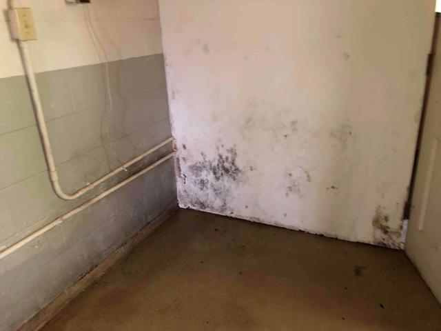 Tri-level homes with a lower level that is adjacent to the crawl space or homes with partial basements and partial crawl spaces often see moisture issues in the adjoining space. In this case, the warm damp air from the crawl space was finding its way into the basement and mold growth was occurring on the drywall.