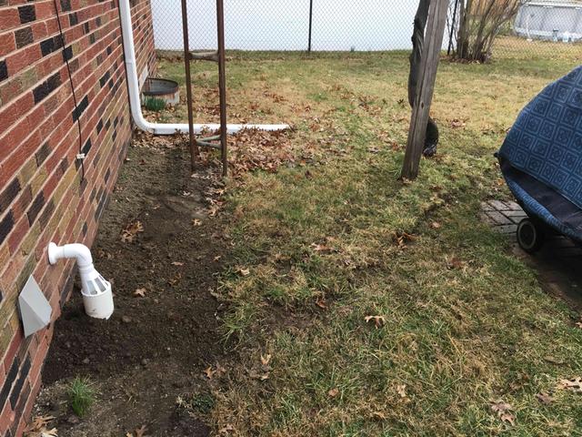 IceGuard Discharge Line System