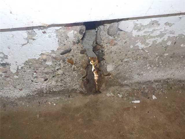 We Can See the Light