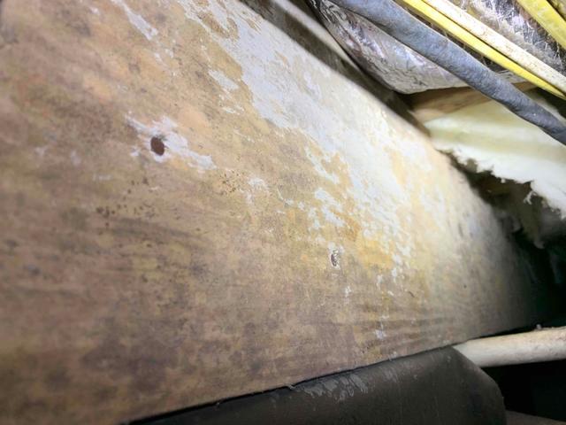 Mold is thriving on this floor joist within a crawl space. Mold and mildew will grow onto any organic materials such as paper, cardboard, drywall, plywood and framing lumber. Having control of the relative humidity in an encapsulated crawl space can prevent this growth.