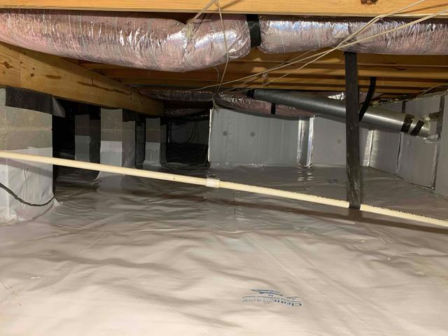 CleanSpace Solution