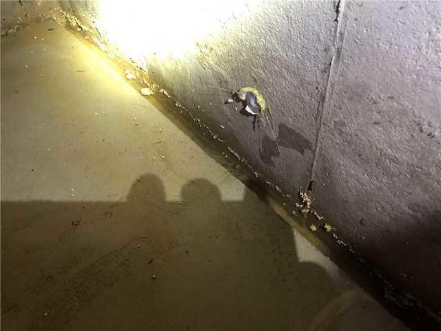 Wet Basement