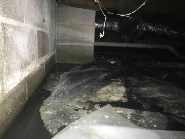 Water infiltration