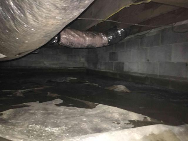 Bulk Water Infiltration
