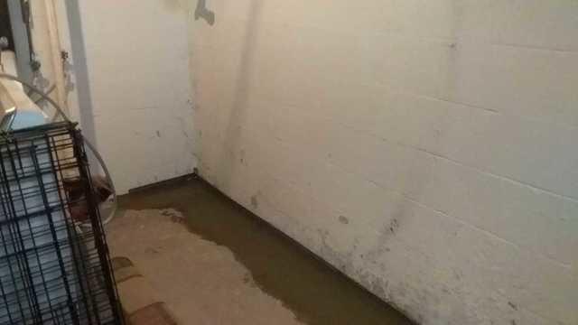 WaterGuard In-Ground Drainage System
