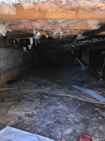 Exposed Crawl Space Floor