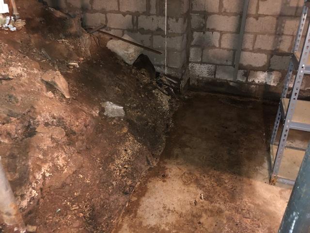 Water and Mold On Dirt Floor in Crawl Space